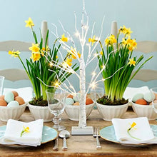 Load image into Gallery viewer, PEIDUO Easter Decorations for The Home, Easter Tree with 12 Hanging Ornaments, Easter Egg Tree Battery Powered Timer, Lighted Birch Tree with LED Lights for Easter Decor (2FT 24 Warm White Lights)