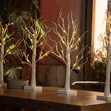 Load image into Gallery viewer, EAMBRITE Set of 4 Twig Tree with Lights Battery Operated Indoor Easter Decorations Twig Easter Tree with 24 Warm White LEDs Table Decoration for Xmas Home Party Wedding (60cm/2ft)