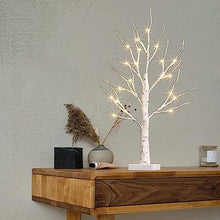 Load image into Gallery viewer, EAMBRITE Tabletop Tree Christmas Decorations, Mini Birch Tree with Lights, 24 LED Lighted Money Tree White Twig Tree Battery Operated with Timer, Home Centerpiece, Indoor Decor(2FT/Warm White)