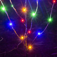 Load image into Gallery viewer, PEIDUO Electric Lighted Willow Branch Plug 30Inch 3PK 60L LED Pathway Lights for Christmas Room Decoration Indoor Apartment Outdoor Stake Lights for Lawn