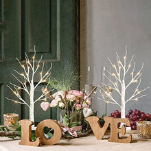 Load image into Gallery viewer, PABIPABI Home Decorations 2 Pack Lighted Birch Tree 24 LED 24'' Christmas Tree Bonsai Tree Artificial Tree Lights Battery Powered Timer Tabletop Ceterpieces Tree for Home Party Wedding Decor