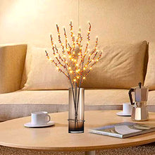 Load image into Gallery viewer, Vanthylit Lighted Branches with 3PK 60LED Twig Lights Plug in for Home Decoration, Light up Willow Branch Lights for Vases