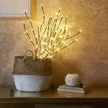 Load image into Gallery viewer, EAMBRITE Set of 2, 3PK 30" Brown Wrapped Lighted Twig Stake with 60LT Warm White LED Bulbs for Outdoor and Indoor use(Vase Excluded)