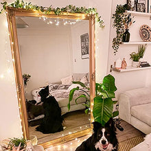 Load image into Gallery viewer, EAMBRITE Fairy Light Battery Operated with 8 Modes 50 LEDs String Lights Copper Wire Light Waterproof for Outdoor Garden Decor Indoor Wedding Party Bedroom Decorations (16ft, Warm White)