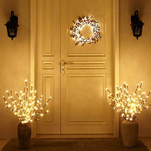 Load image into Gallery viewer, EAMBRITE Natural Twig Branches with Amber Beads 30IN 60LT Lighted Willow Branch Plug in for Home Party Wedding Holiday Decoration Indoor Outdoor Use(Vase Excluded)
