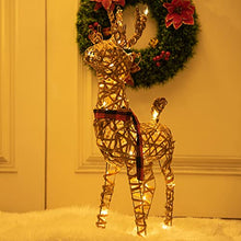 Load image into Gallery viewer, Eambrite Christmas Rattan Reindeer Light up Christmas Decorations Indoor Battery Operated LED Deer Lights Waterproof for Outdoor Yard Garden and home Decor - 2ft / 60cm, Warm White