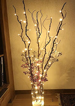 Load image into Gallery viewer, Vanthylit Lighted Natural Willow Twig Branches with 48LED Floor Vases Decorative Light String for Christmas Wedding Party Home Holiday Decoration Warm White Lights