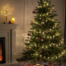 Load image into Gallery viewer, EAMBRITE 150LT 49FT Heavy Duty Micro LED String Lights Plug-in Warm White 8 Modes with Controller UL Adapter Wire Waterproof for Home Decor Christmas Tree Party Patio