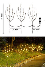 Load image into Gallery viewer, EAMBRITE Lighted Frosted Ball Twig Branches 30IN 60LT Lighted Willow Branch with Warm White LED Plug in for Home Party Wedding Holiday Decoration Indoor Outdoor Use(Vase Excluded)
