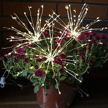 Load image into Gallery viewer, EAMBRITE Battery Operated 8 Inch 60 LED Hanging Starburst Light Bouquet Shape Fairy String Lights Decoration for Home Patio Wedding Party Festive(Copper Wire Warm White)
