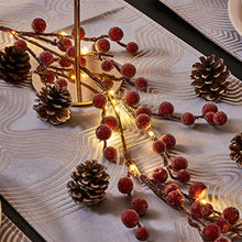 Load image into Gallery viewer, EAMBRITE LED Lighted Artificial Red Berry Holiday Garland 6FT 70 LED Battery Operated with Timer for Christmas Halloween Decoration Indoor Outdoor Use String Lights Wire