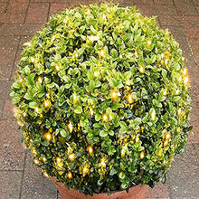Load image into Gallery viewer, EAMBRITE Christmas Lights 84LT Bush Net Lights Diamond Shape LEDs 8 Modes Timer Waterproof Battery Powered for Yard Bushes Indoor Outdoor Decorations (Warm White)