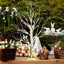 Load image into Gallery viewer, PEIDUO Easter Decorations for The Home, Easter Tree Battery Powered Timer, Lighted Birch Tree with LED Lights, Mantle Decor Lighted Trees for Decoration Inside (2FT Warm White)
