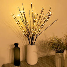 Load image into Gallery viewer, Vanthylit Set of 2 3PK 30" Brown Lighted Twig Stakes 120 Warm White Pathway Light for Outdoor and Indoor (Vase Excluded)