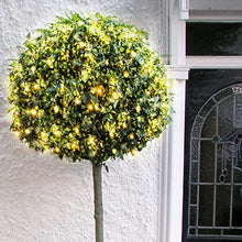 Load image into Gallery viewer, Eambrite 0utdoor Net Lights Battery Operated Waterproof, 84 LEDs Net Christmas Lights Warm White, 8 Modes Mesh Garden Lights for Topiary Ball Tree Holiday Decorations