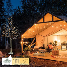 Load image into Gallery viewer, EAMBRITE 6FT 88LT Warm White LED Winter Artificial Birch Wedding Christmas Home Decorative Tree Light for Indoor and Outdoor Use