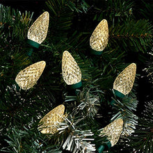 Load image into Gallery viewer, EAMBRITE 50LT C9 Christmas String Lights120V UL Certified for Patio Christmas Tree Garden Yard Indoor and Outdoor, Green Wire