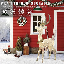Load image into Gallery viewer, EAMBRITE 48” 70LT Pre-Lit Christmas Glittering Reindeer with Gold Jingle Bell and Twinkle Light Outdoor Holiday Mesh Standing Buck Deer Decorations for Home Lawn Yard Garden Indoor Outdoor Plug in