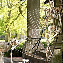 Load image into Gallery viewer, PABIPABI Halloween Giant Spider Web Decoration-9FT Round Fake Spider Elastic Belt Props for Indoor and Outdoor Halloween Decor Party Decoration (White)