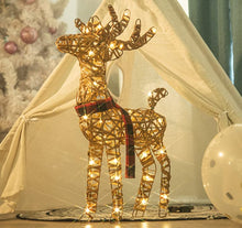 Load image into Gallery viewer, Eambrite Christmas Rattan Reindeer Light up Christmas Decorations Indoor Battery Operated LED Deer Lights Waterproof for Outdoor Yard Garden and home Decor - 2ft / 60cm, Warm White