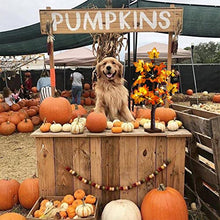 Load image into Gallery viewer, EAMBRITE Fall Tree 24 Inch Maple Tree with 24 LED Timer Battery Operated Autumn Tabletop Tree for Fall Thanksgiving Harvest Wedding Home Halloween Decorations