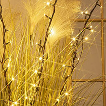 Load image into Gallery viewer, EAMBRITE 30" 48LT Brown Branch Lighted Willow Branch Battery Powered for Home Bedroom Decor