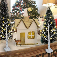 Load image into Gallery viewer, DELICHTER 4er Set Lichterbaum Lichterzweige für Innen 24 Warmweiß LEDs Bäumchen Birken Dekozweige Batteriebetrieb Weihnachtsdeko für Zuhause Party Geburtstag Hochzeit Innendekoration (60cm/2ft)