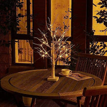 Load image into Gallery viewer, EAMBRITE Tabletop Tree Christmas Decorations, Mini Birch Tree with Lights, 24 LED Lighted Money Tree White Twig Tree Battery Operated with Timer, Home Centerpiece, Indoor Decor(2FT/Warm White)