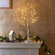 Load image into Gallery viewer, EAMBRITE Ostereibaum mit Lichtern, batteriebetriebener weißer LED Baum mit Oster Dekorationen, Tisch dekor Baum für Zuhause und Party (60 cm / 24 warmweiße Lichter)