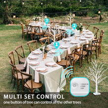 Load image into Gallery viewer, EAMBRITE Set of 2 2FT 24LT Linkage Led Birch Tree Light with Timer Tabletop Bonsai Tree Light Jewelry Holder Decor for Home Party Wedding Holiday