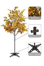 Load image into Gallery viewer, EAMBRITE 6FT LED Lighted Floor Standing Maple Tree with 144 Warm White LED Pre lit Artificial Fall Tree Plug in for Home Holiday Thanksgiving Birthday Wedding Party Decor
