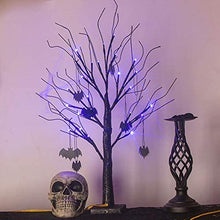 Load image into Gallery viewer, EAMBRITE 2FT Black Halloween Tree with Bats Purple Lights Battery Operated Spooky Decorations Indoor Small Twig Tree Gifts for Kids
